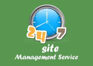 24/7 website management